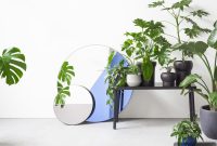 Tinted Mirror Trends for Stylish Modern Homes
