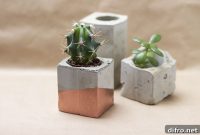 DIY Concrete Planters for Indoor Plants