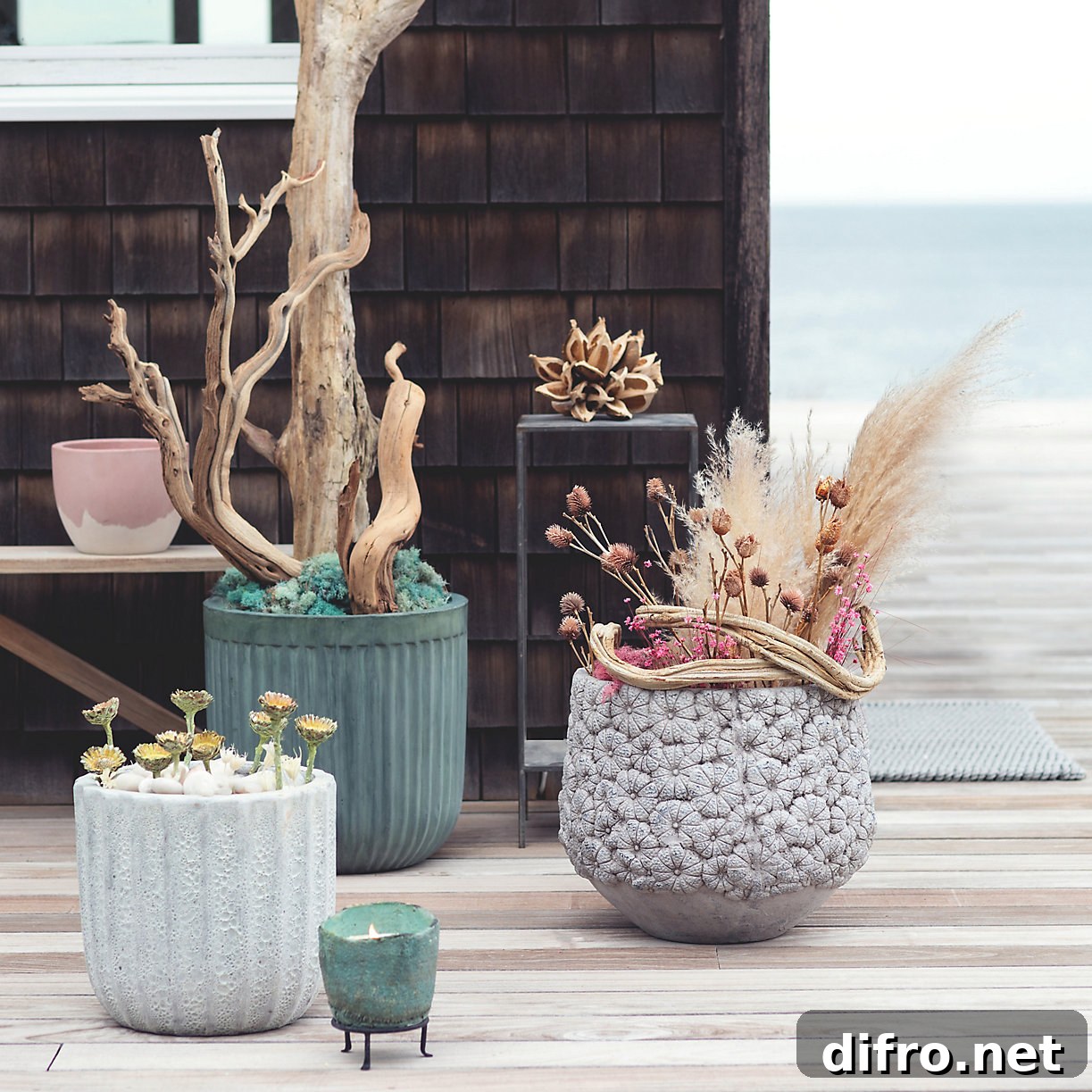 featured 233870