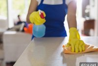 Prevent Kitchen Pests: Proven Tips to Keep Them Out