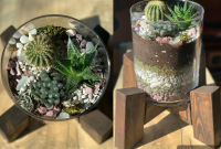How to Design a Modern Living Succulent Terrarium