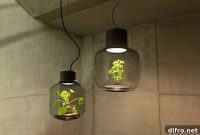 Planter Light Fixtures: Chic Lighting That Holds Live Plants