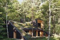 Green Home with Living Roof: Energy-Efficient Eco Design