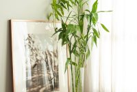 12 Low-Maintenance Indoor Houseplants for Busy Homes