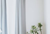 10 Bedroom Plants That Improve Sleep and Air Quality