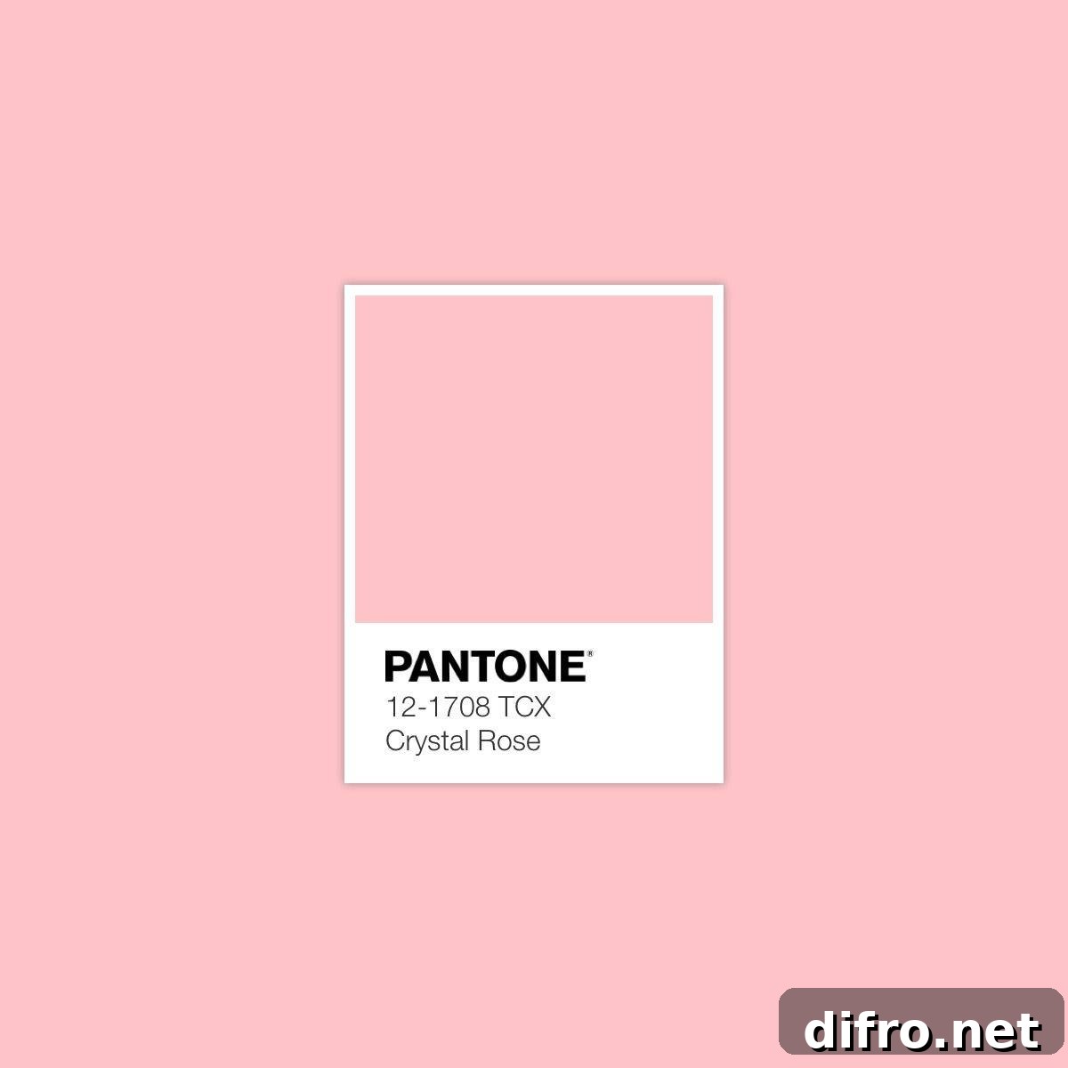 featured 253907