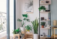 5 Houseplant Pests and How to Get Rid of Them