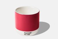Pantone 2023 Color of the Year: Viva Magenta