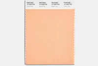 Pantone Color of the Year 2024 Revealed