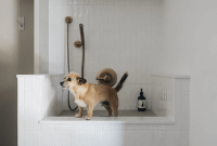 Why Homeowners Are Installing Built-In Dog Showers