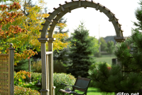 DIY Garden Arch Ideas to Elevate Your Backyard