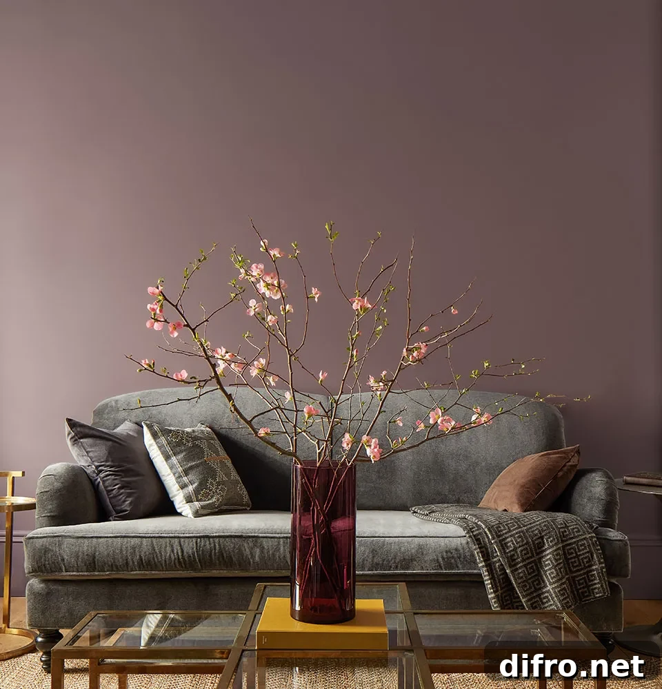 featured 264792