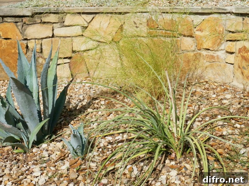 The weeds are under control