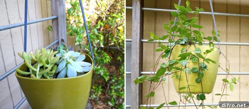 Evolving plant life in a DIY planter