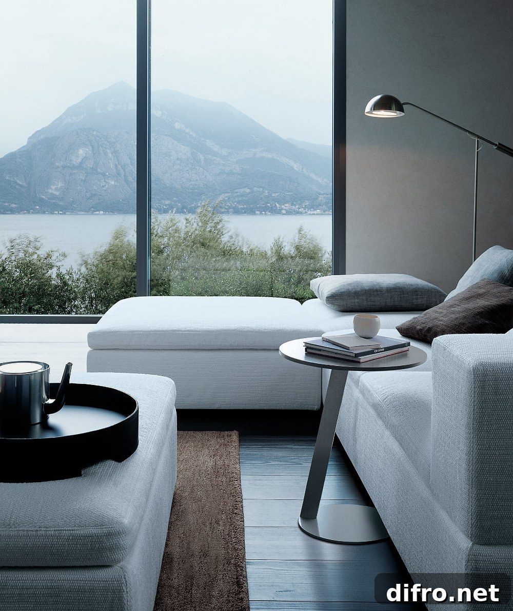 Contemporary sofa with wooden frame and comfy cushions