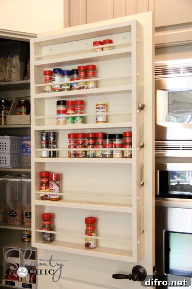 Pantry Door Spice Rack
