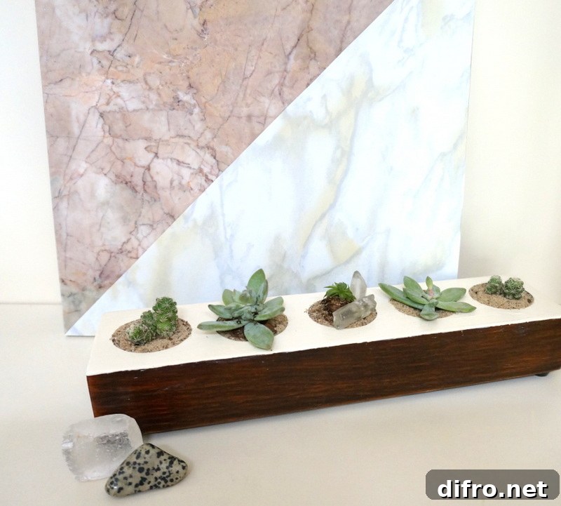 DIY succulent project