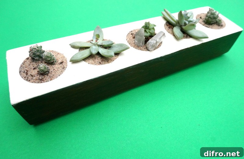 DIY succulent planter
