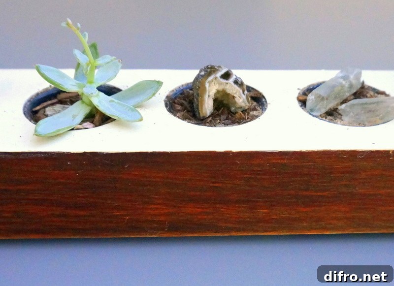 Succulent and crystals in a DIY planter