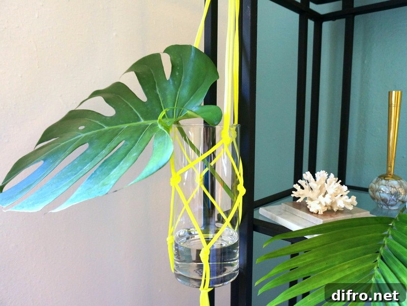 Display your hanging vase indoors-002