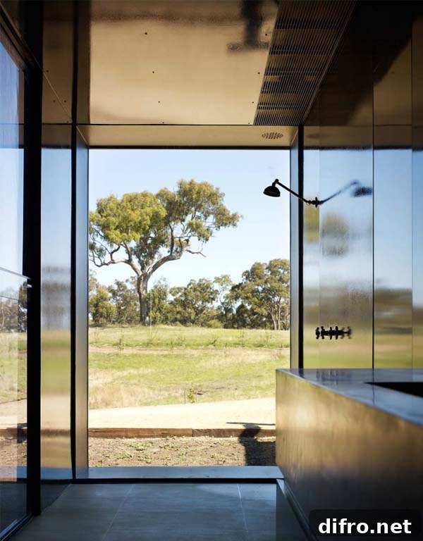 Planar composition and timber cladding detail