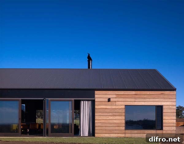 Living space with natural timber finishes and daylight