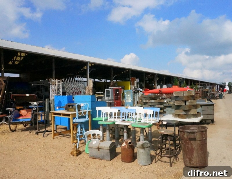 Painted chairs and other treasures at Excess Field