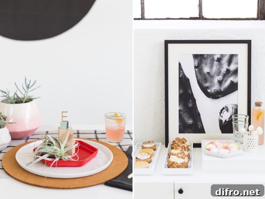 Modern air plants from Paper & Stitch