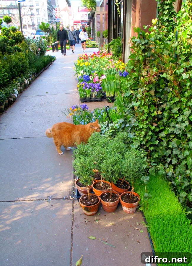 Carpets of green, trees, and flowers line the sidewalks