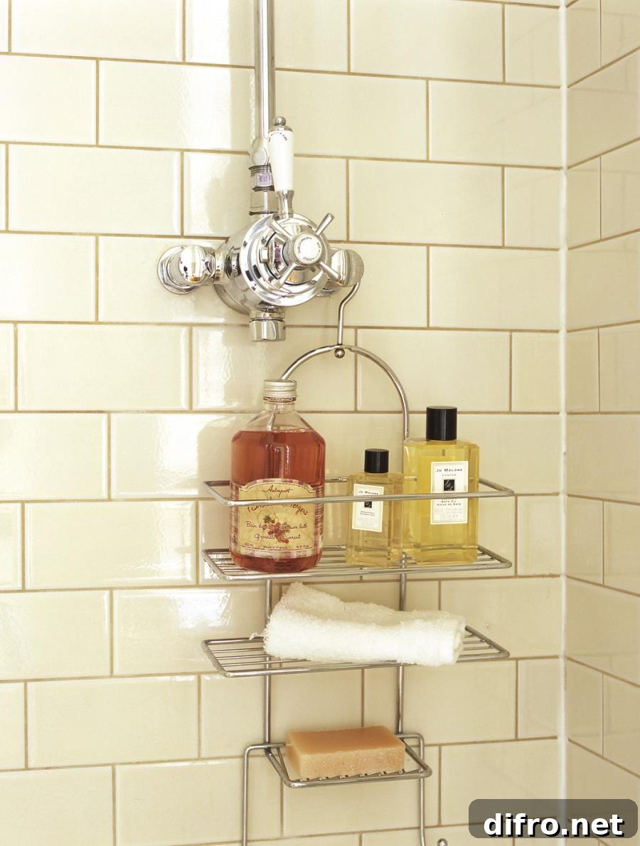Bath products on a shower caddy