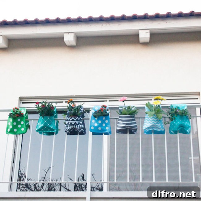 Adorable hanging planters in blue and green