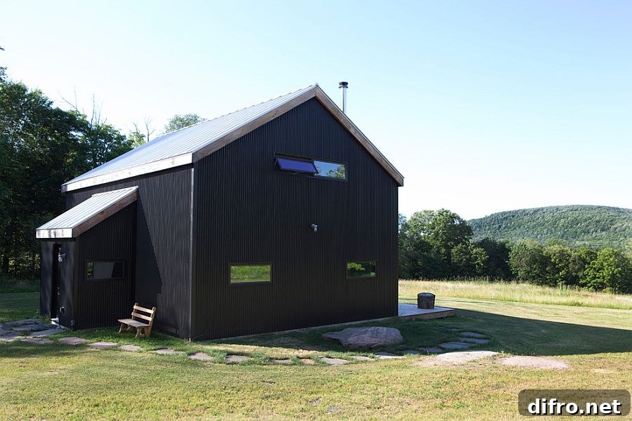 Exterior of the rustic home clad in black corrugated metal