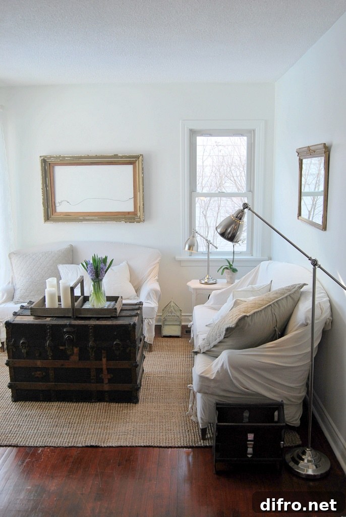 Large dark trunk paired with white furniture