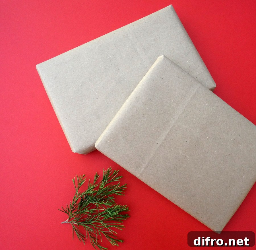 Shopping bags make great gift wrap