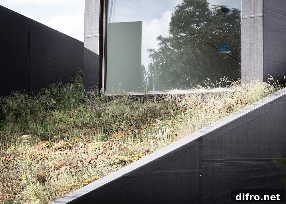 Multiple flowering plants keep the green roof fresh and cheerful all year long