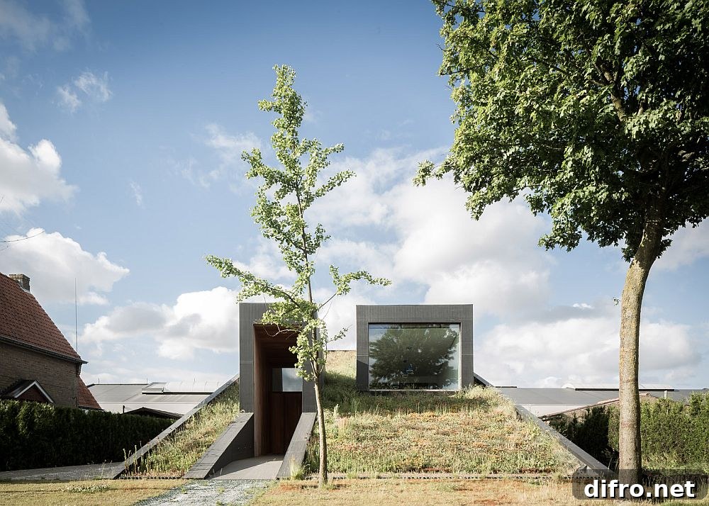 Two distinct volumes pop up from the ground to create the entrance and dining space