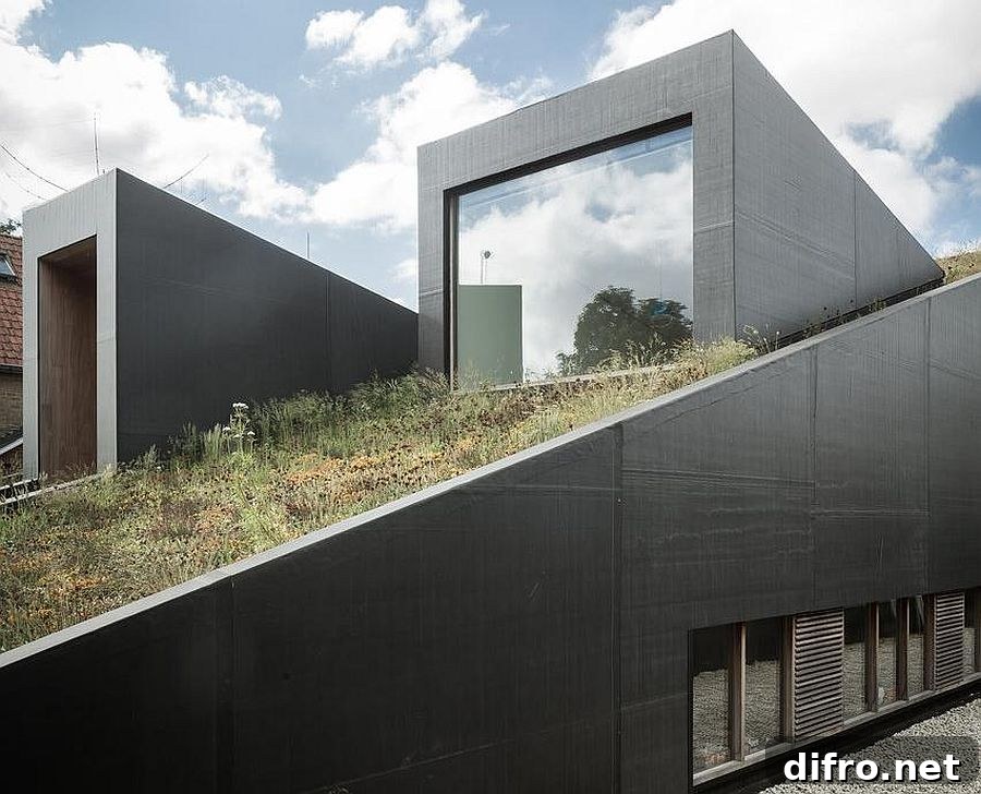 Sloped green roof of House Pibo in Belgium