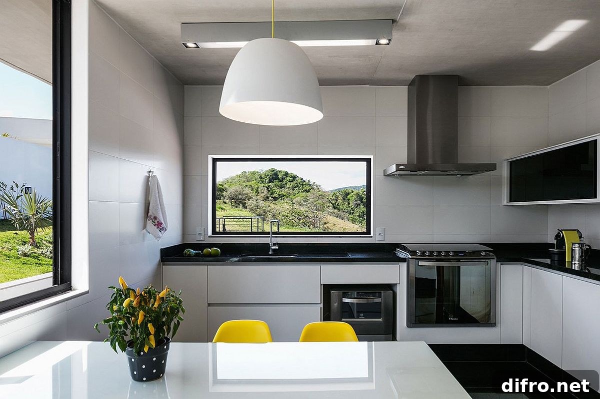 Contemporary kitchen in black and white with unique style