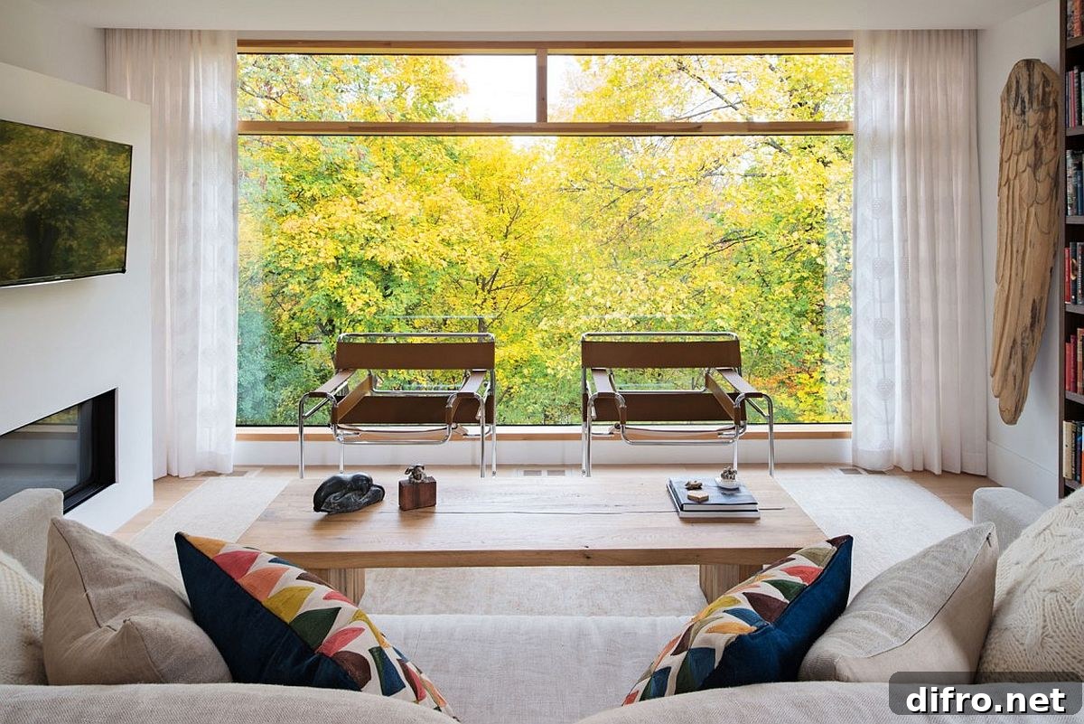 View of the tree canopy outside the family area