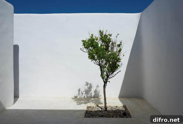 img 15470 10