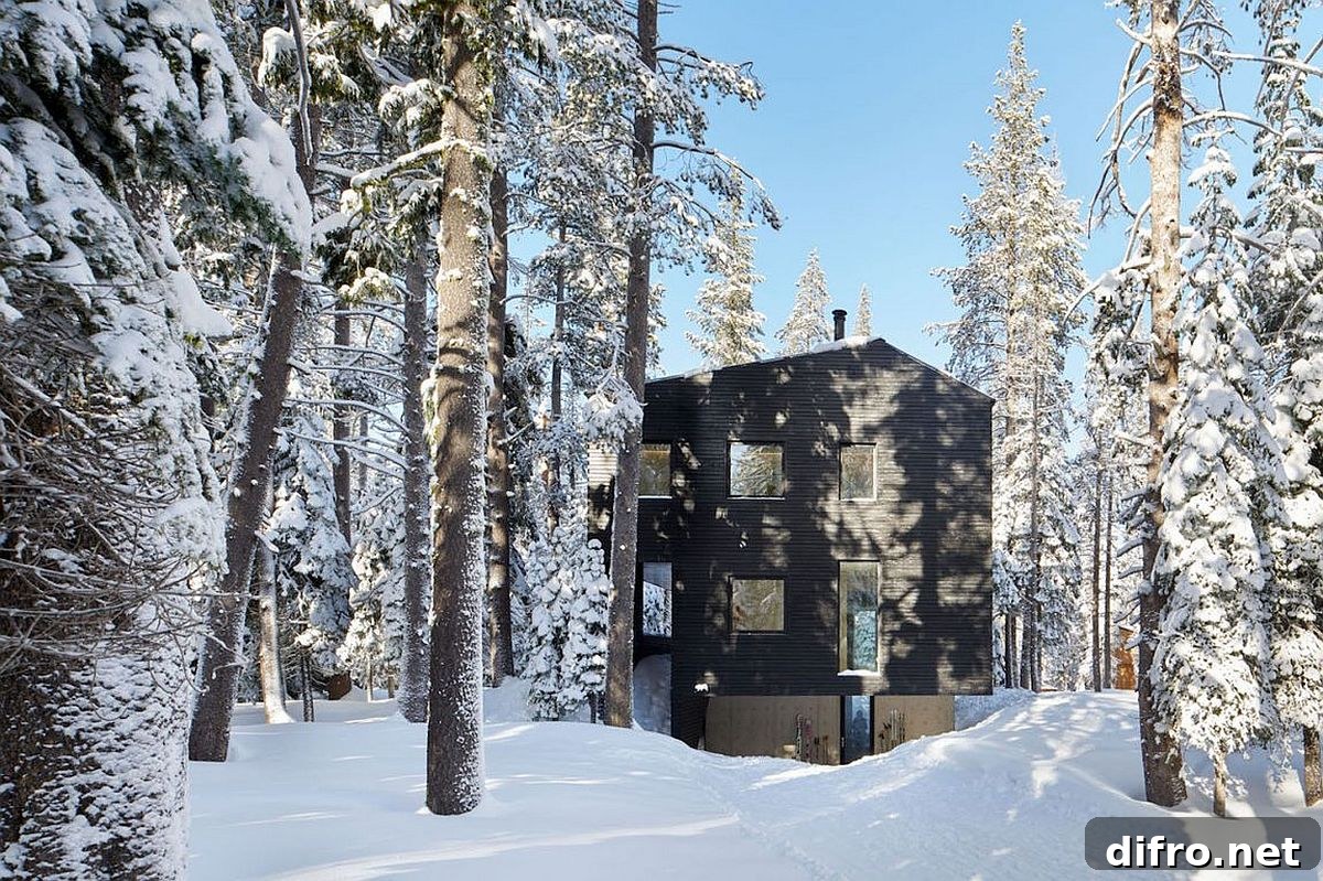 Tar-treated wood siding gives the cabin in Sugar Bowl Ski Resort a distinct, dark exterior