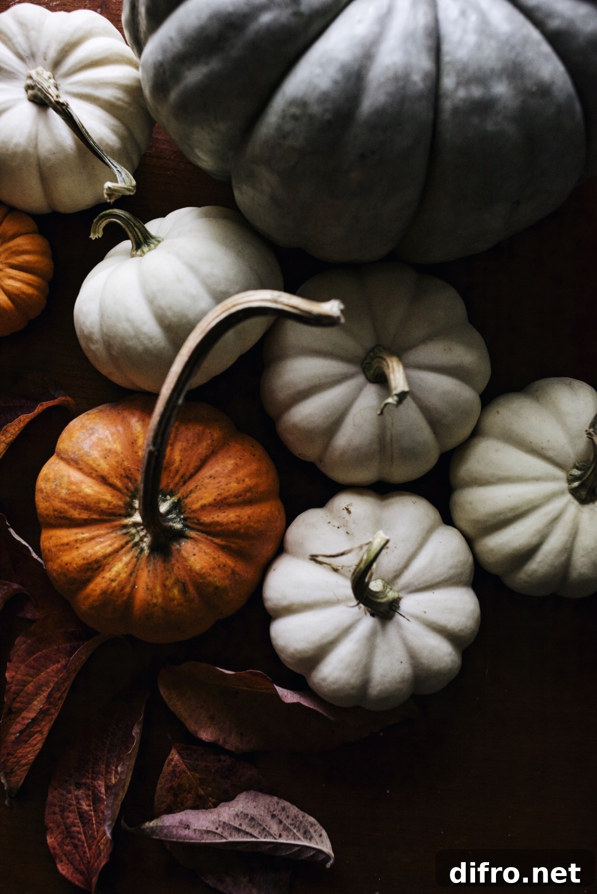 Pumpkin photo from For the Love of the South