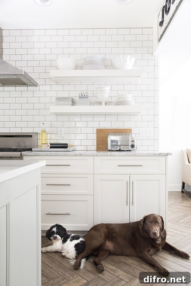 Floating Shelf Ideas to Style Your Living Room 11 Two dogs in a minimalist white kitchen that has two floating shelves.