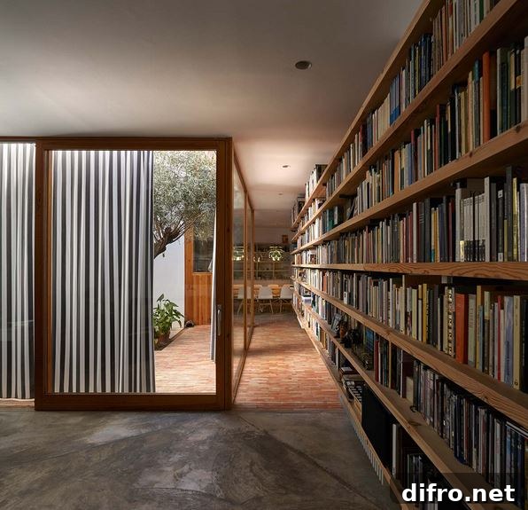 Neatly arranged bookshelves with natural light spilling in.