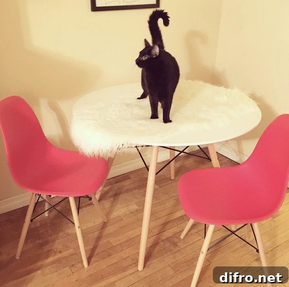A minimalist white table is surrounded by two vibrant red chairs. The chairs' curved backs and sleek legs add a touch of modernity to the scene.