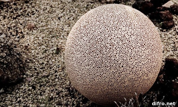 Sponge outdoor ceramic lamp glowing in a garden