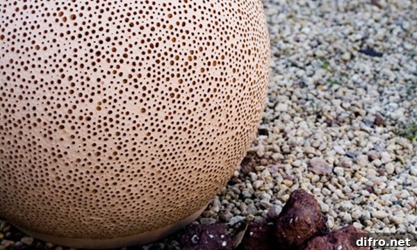 Different sizes of the Sponge lamp displayed together