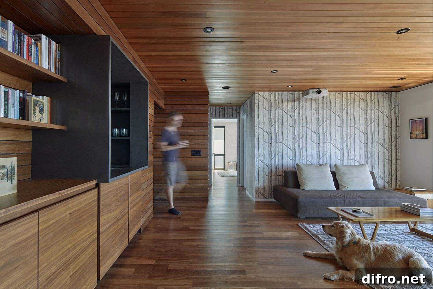 Interior draped in wood with textured wallpaper