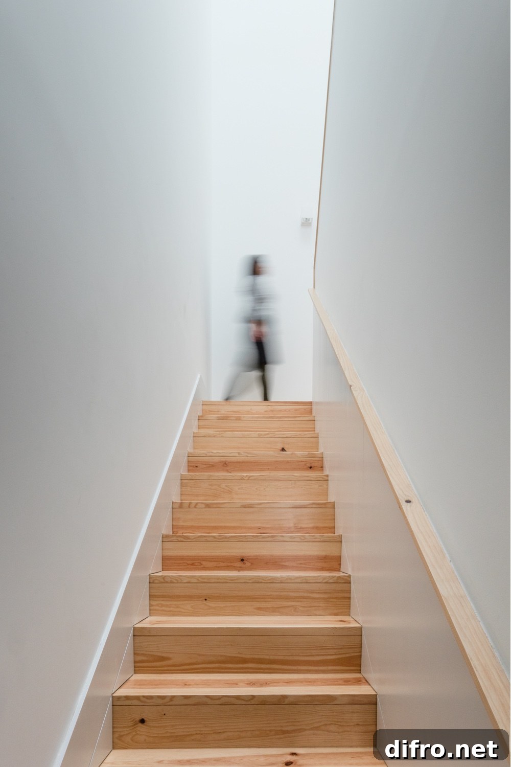 Alves da Veiga in Porto by Pedro Ferreira Architecture Studio.