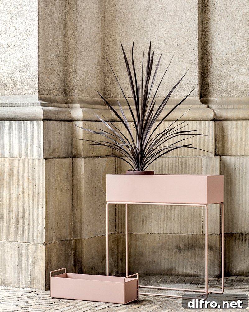 Rose plant box from ferm LIVING